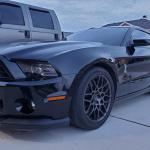 Michael Satterfield 2013 Shelby GT500