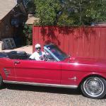 Rick Elmore
1966 Convertible