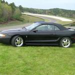 Doug & Teresa Putman - 1995 Cobra Convertible